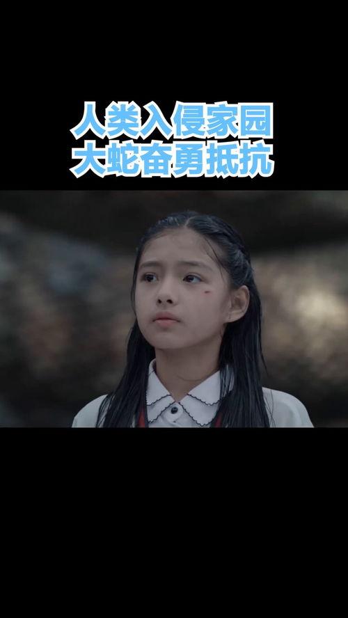 入侵家园在线观看,在线揭秘惊心动魄的入侵真相 第1张 入侵家园在线观看,在线揭秘惊心动魄的入侵真相 第1张